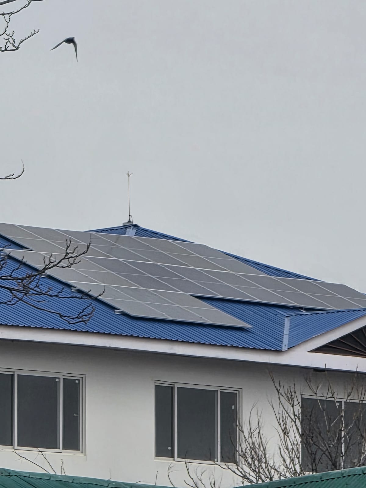Local Solar Panel Work